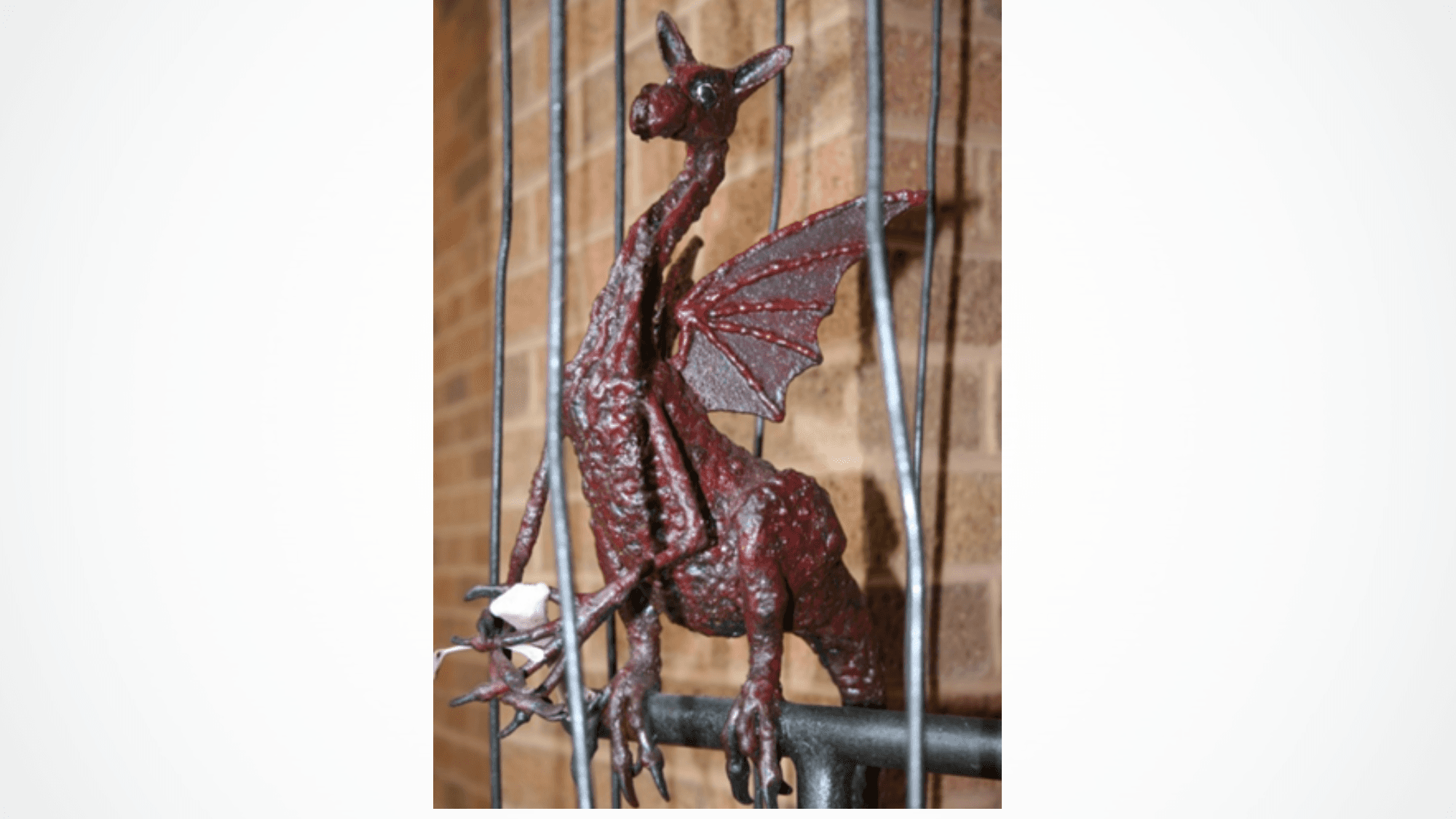 Tod’s Dragon with Chicken Bones